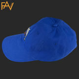 Dolphin - Blue Dad Hat