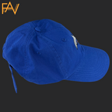 Dolphin - Blue Dad Hat