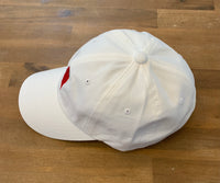 Watermelon - Embroidery Dad Hat