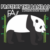 Panda - Black Organic Heavyweight T-Shirt